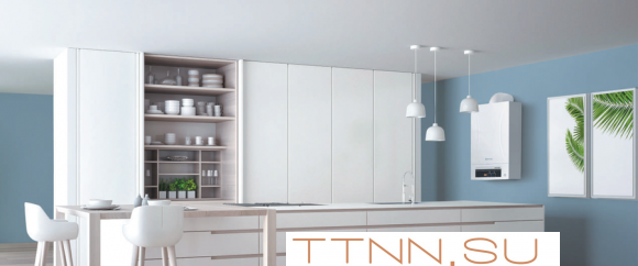 Настенный газовый котел Thermex Andromeda HM11 Настенный газовый котел Thermex Andromeda HM11