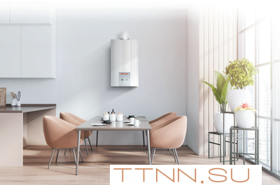 Настенный газовый котел Thermex EuroElite F10 Настенный газовый котел Thermex EuroElite F10